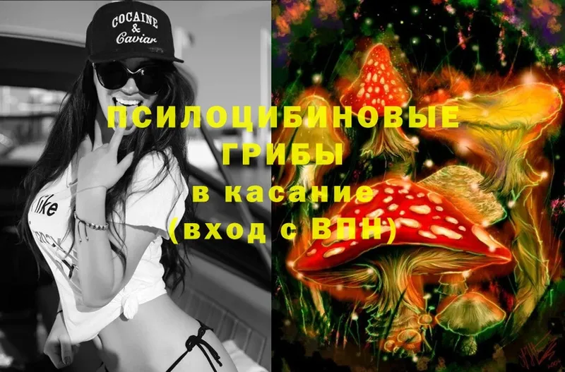 Псилоцибиновые грибы MAGIC MUSHROOMS  маркетплейс клад  Советский  закладка  ОМГ ОМГ ссылка 